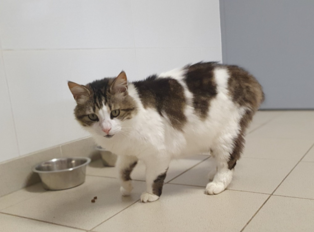 Photo #3 de Mimounet