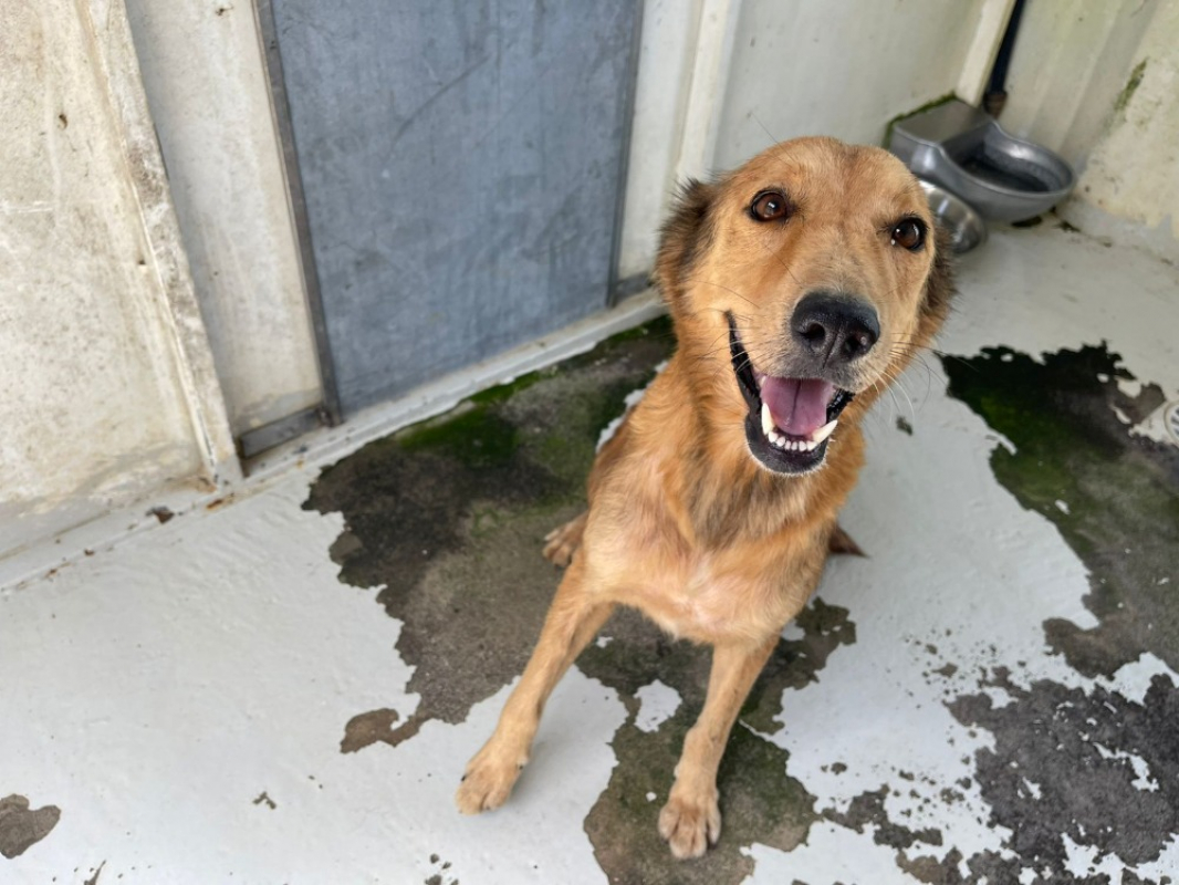 Photo de Nala