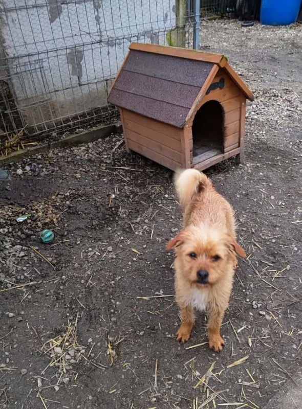 Photo #1 de Anastasie