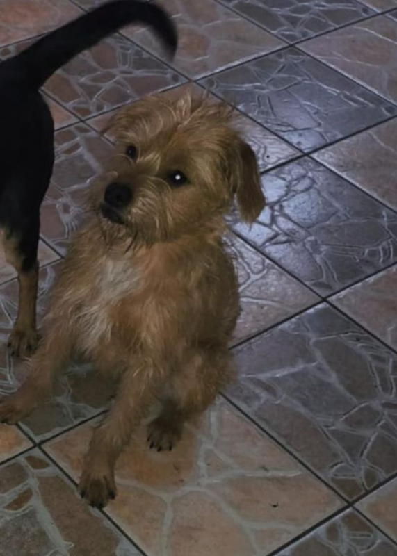 Photo #2 de Anastasie