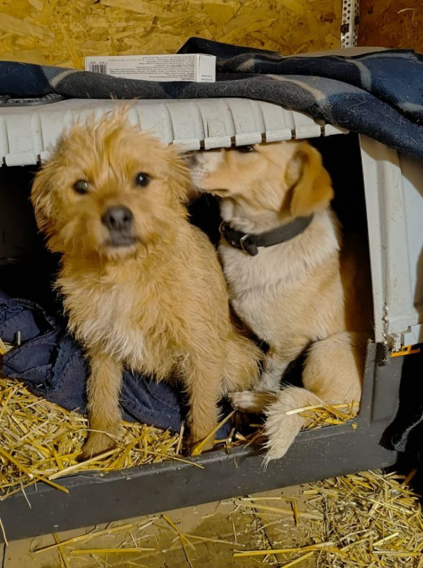 Photo #3 de Anastasie