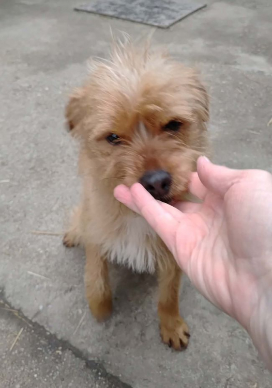 Photo #4 de Anastasie