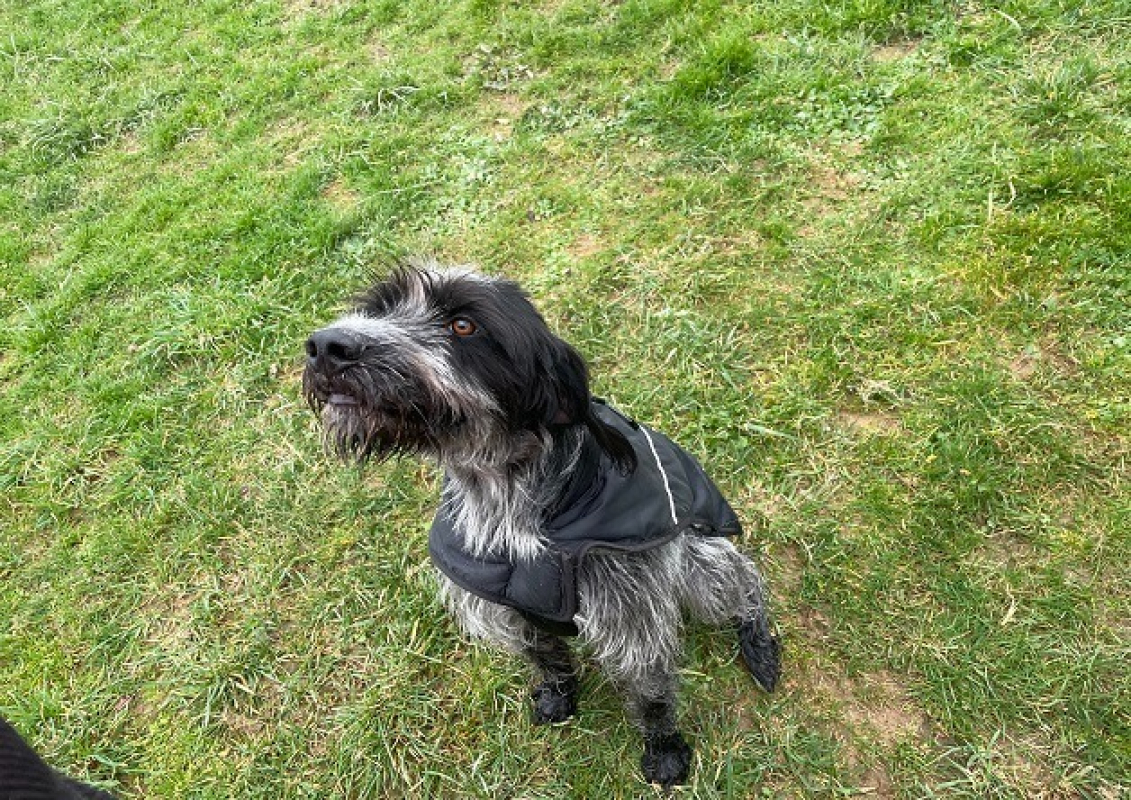 Photo #2 de Sherlock