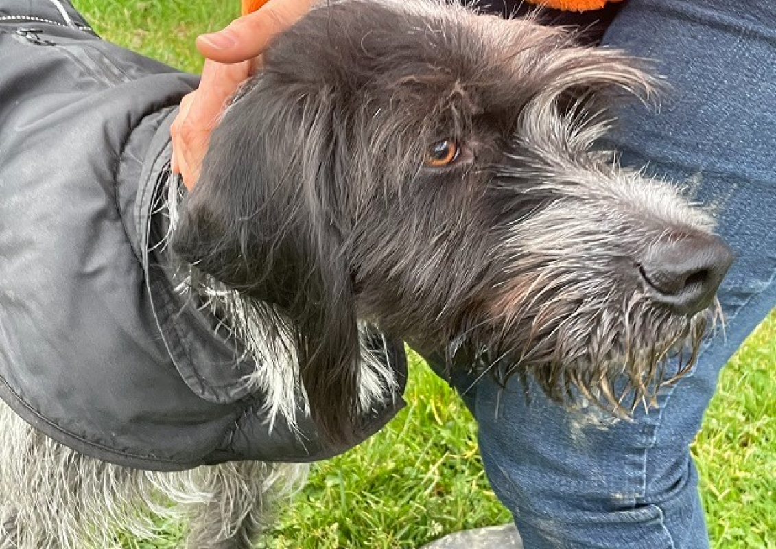 Photo #3 de Sherlock