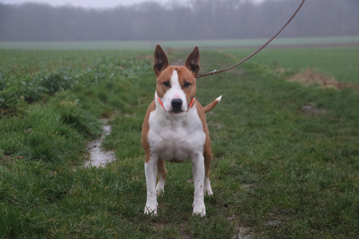 Photo #3 de Skittles