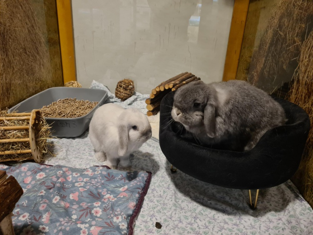 Photo #1 de Poupou et peche