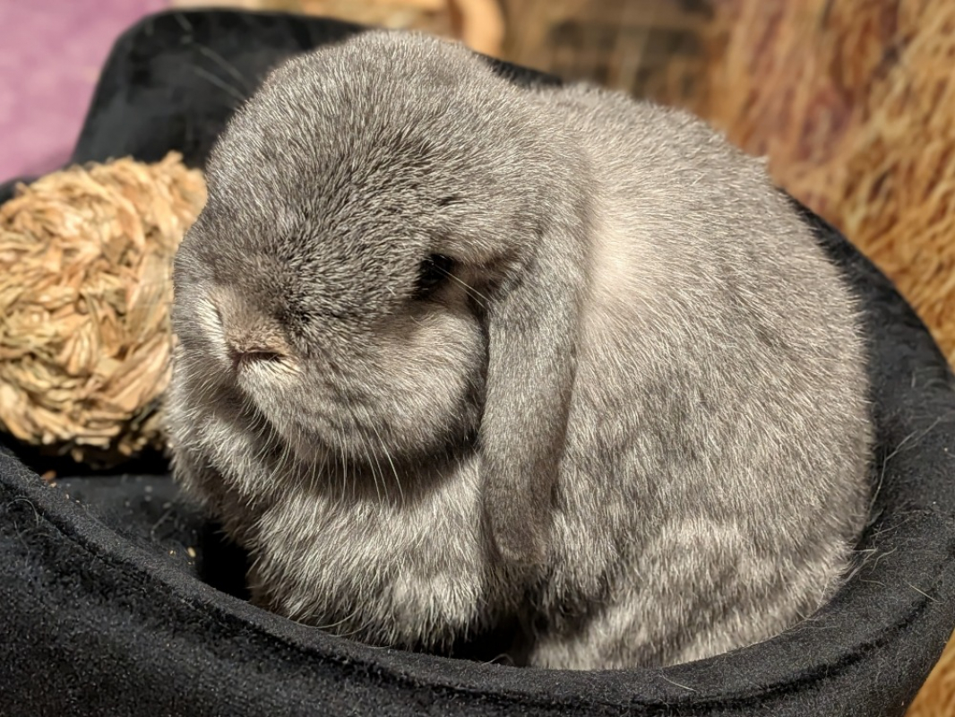 Photo #2 de Poupou et peche