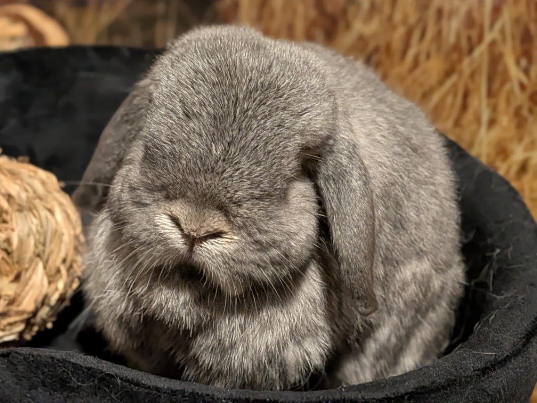 Photo #3 de Poupou et peche