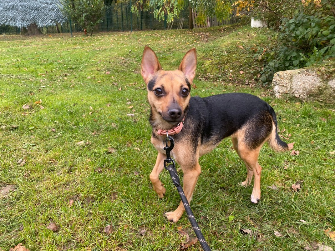 Photo de Nala