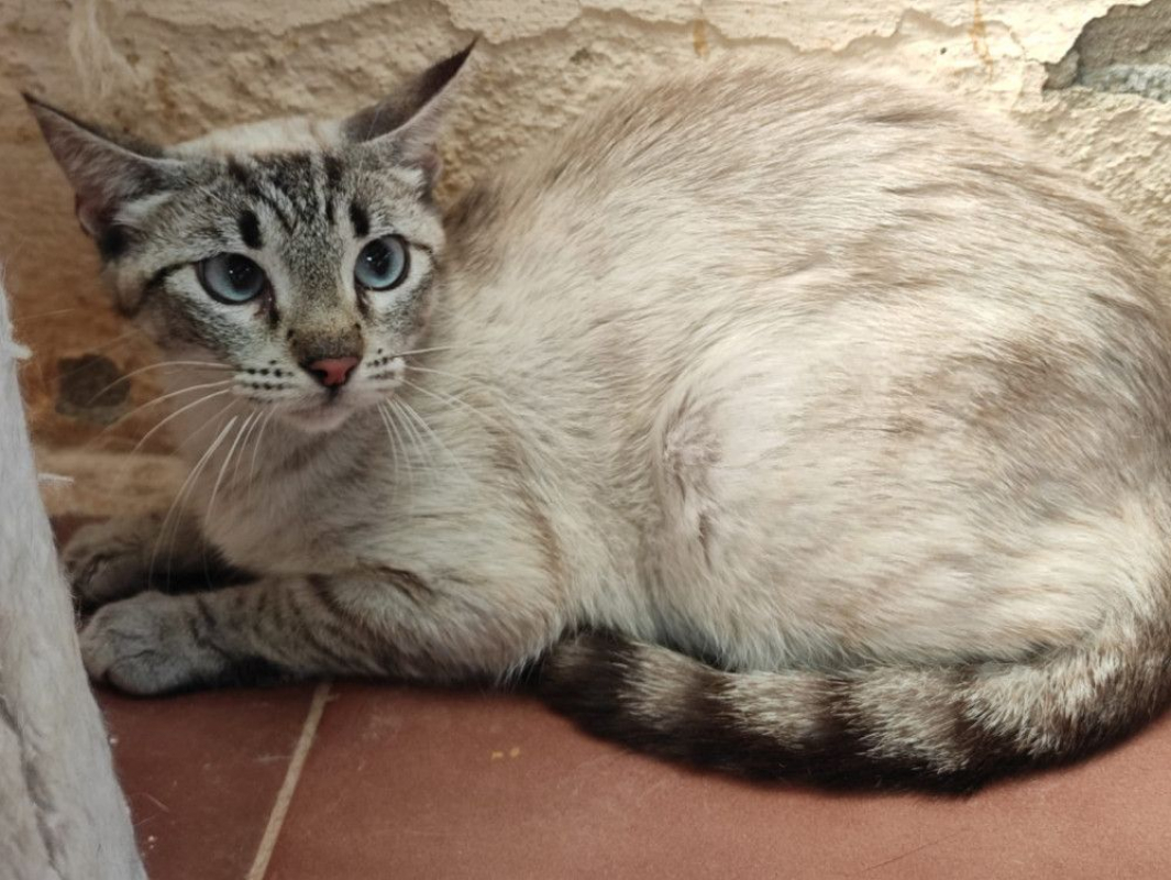 Photo #1 de Mathilda