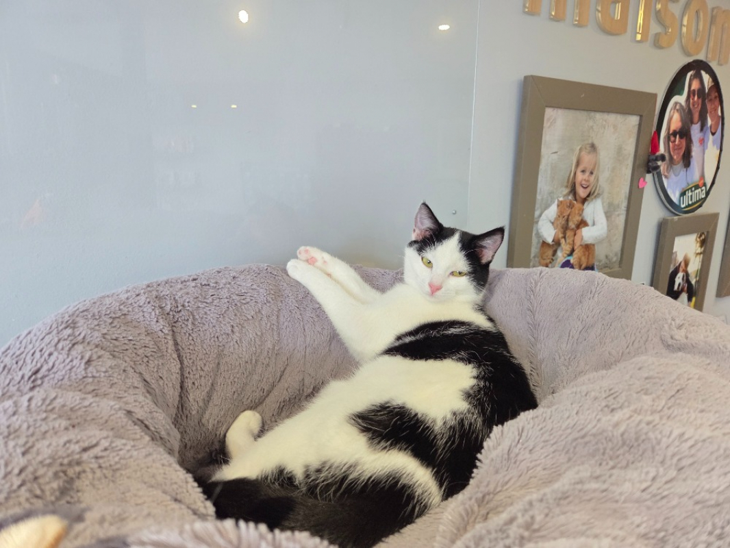 Photo #1 de AthenaÏs