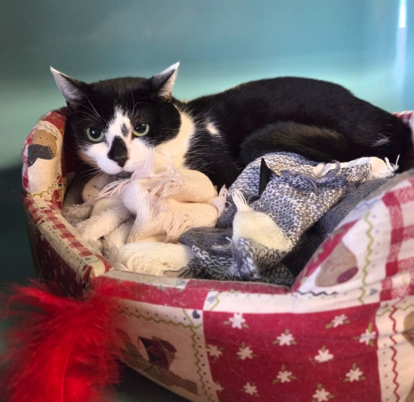 Photo de Iki reservé