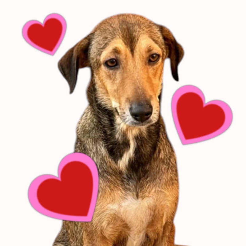 Photo #1 de CAPUCINE