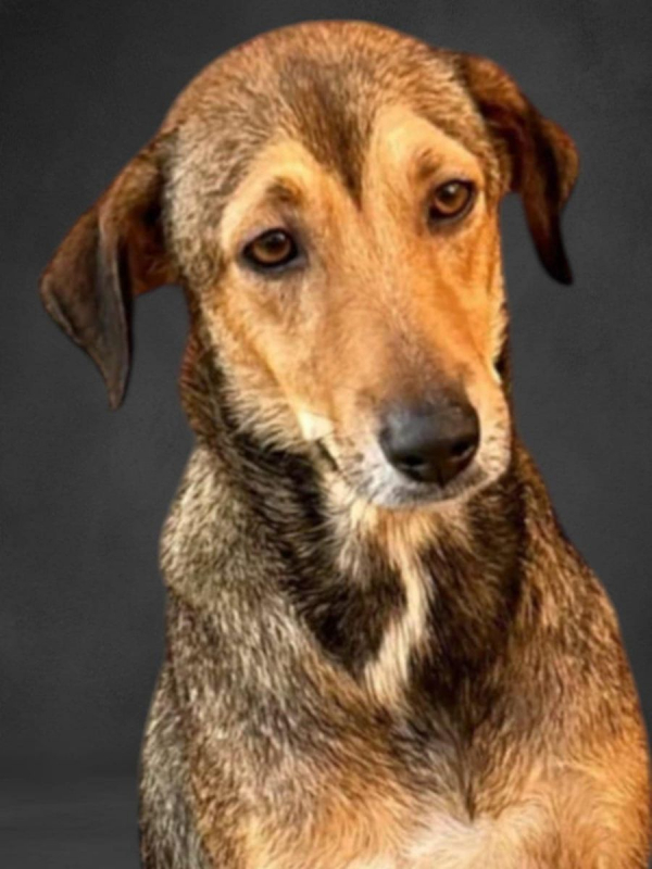 Photo #7 de CAPUCINE