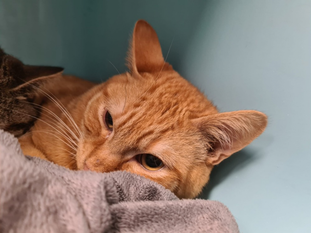 Photo de Mini pousse