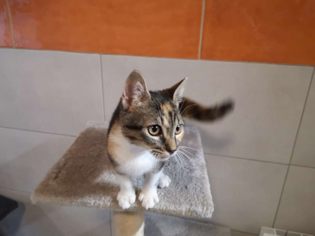 Photo #1 de Violette réservé