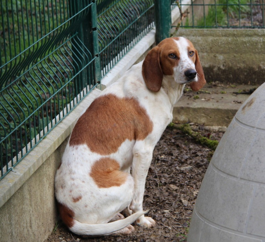 Photo de Bounty