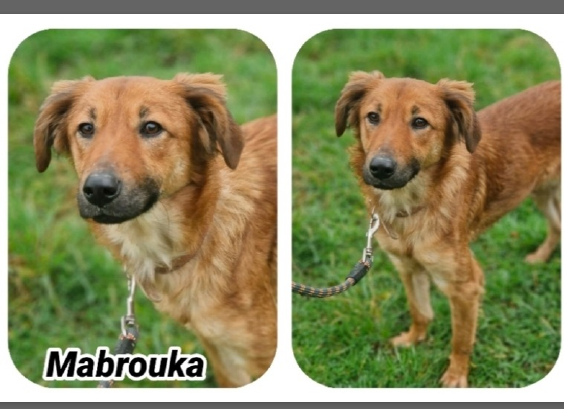 Photo de Mabrouka réservé