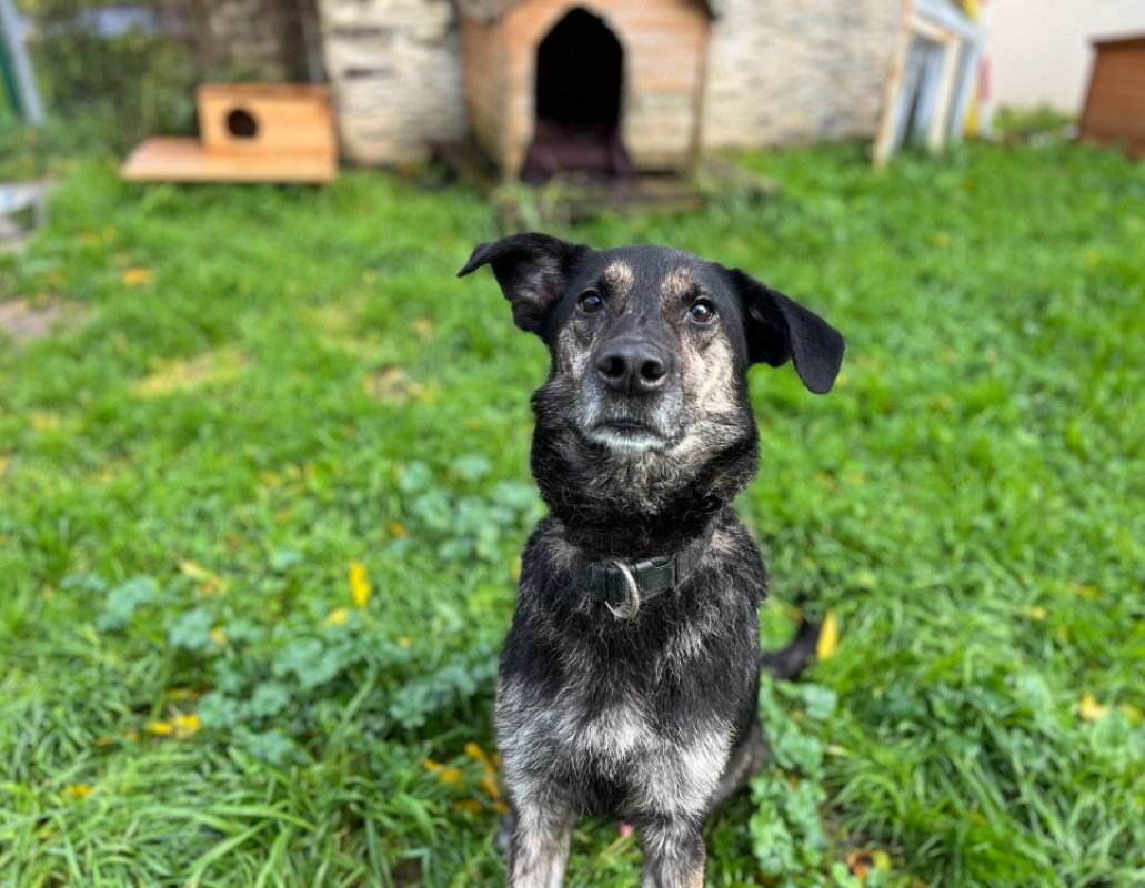 Photo de Paco
