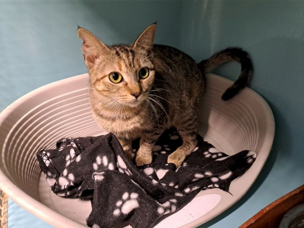 Photo de Réservé lua