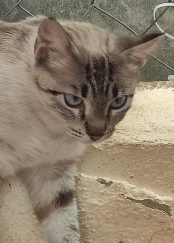 Photo #3 de Mathilda