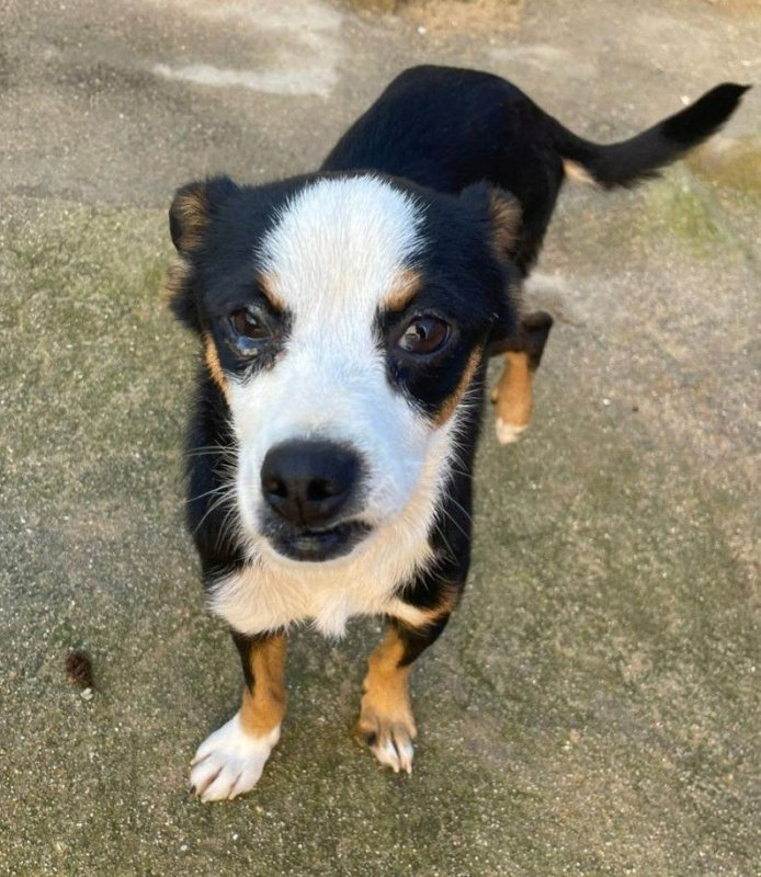 Photo #4 de FEFERINO 5 ans, petit Bodeguero adorable