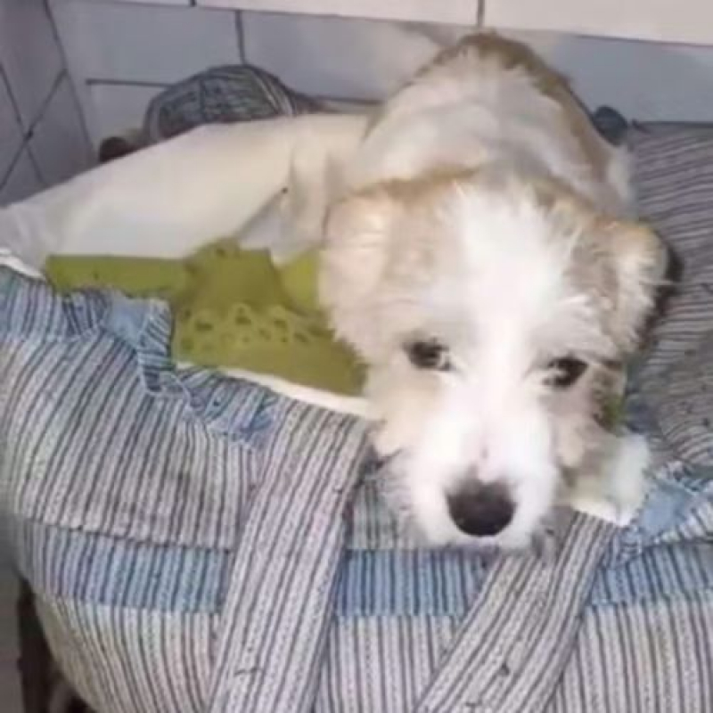 Photo #13 de MIAHATA