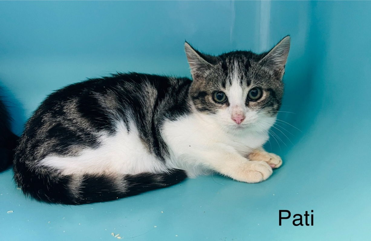 Photo de Pati