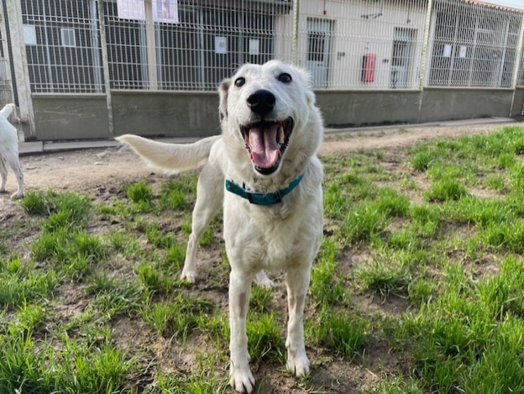 Photo #1 de Mirabelle