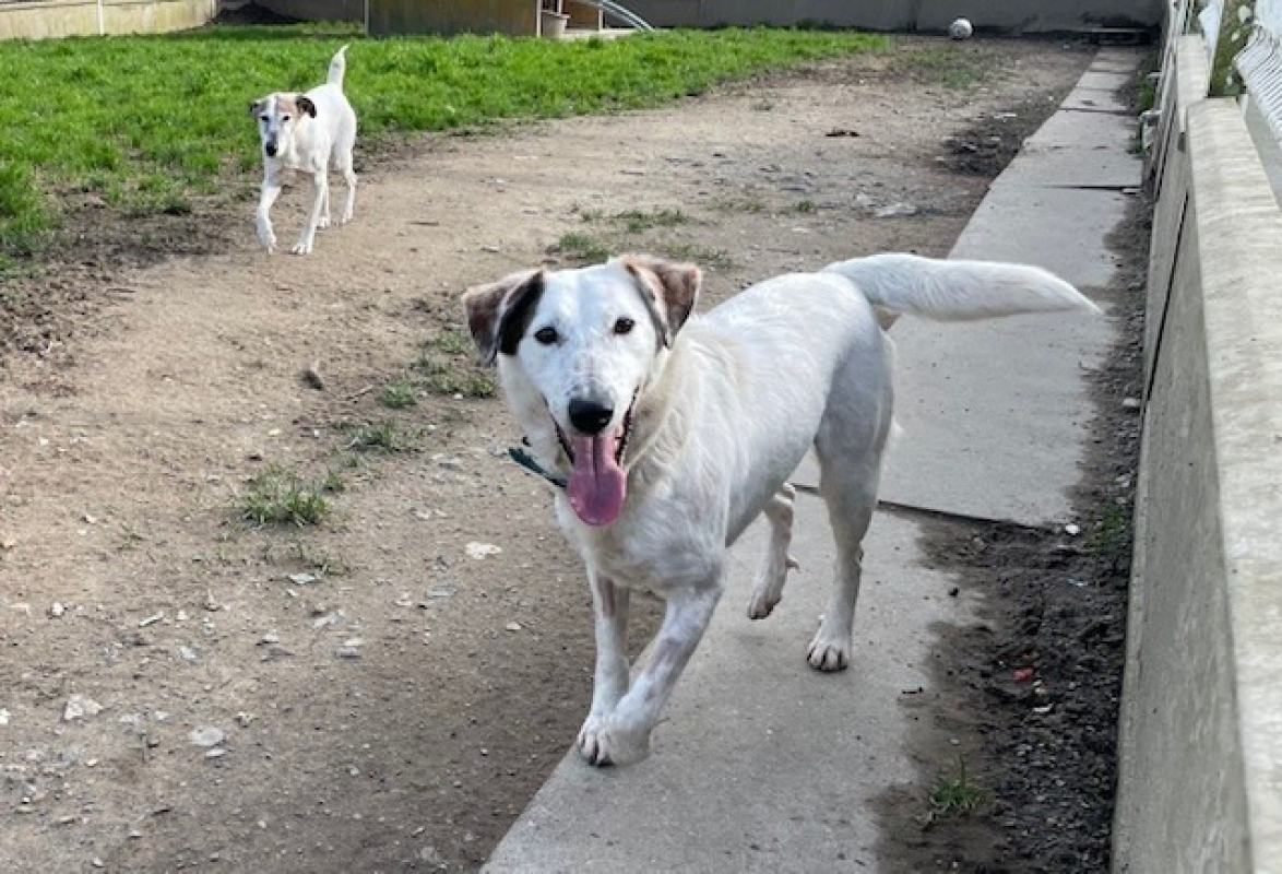 Photo #3 de Mirabelle