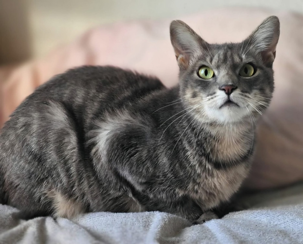 Photo #1 de Poupette