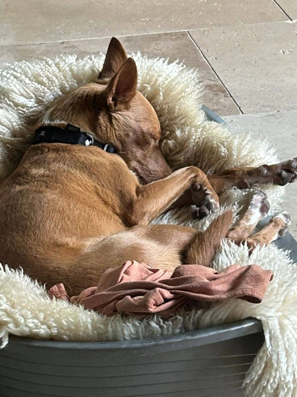 Photo #14 de CANDELA