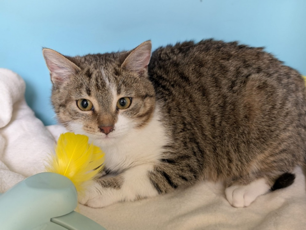 Photo #2 de Cleopatre