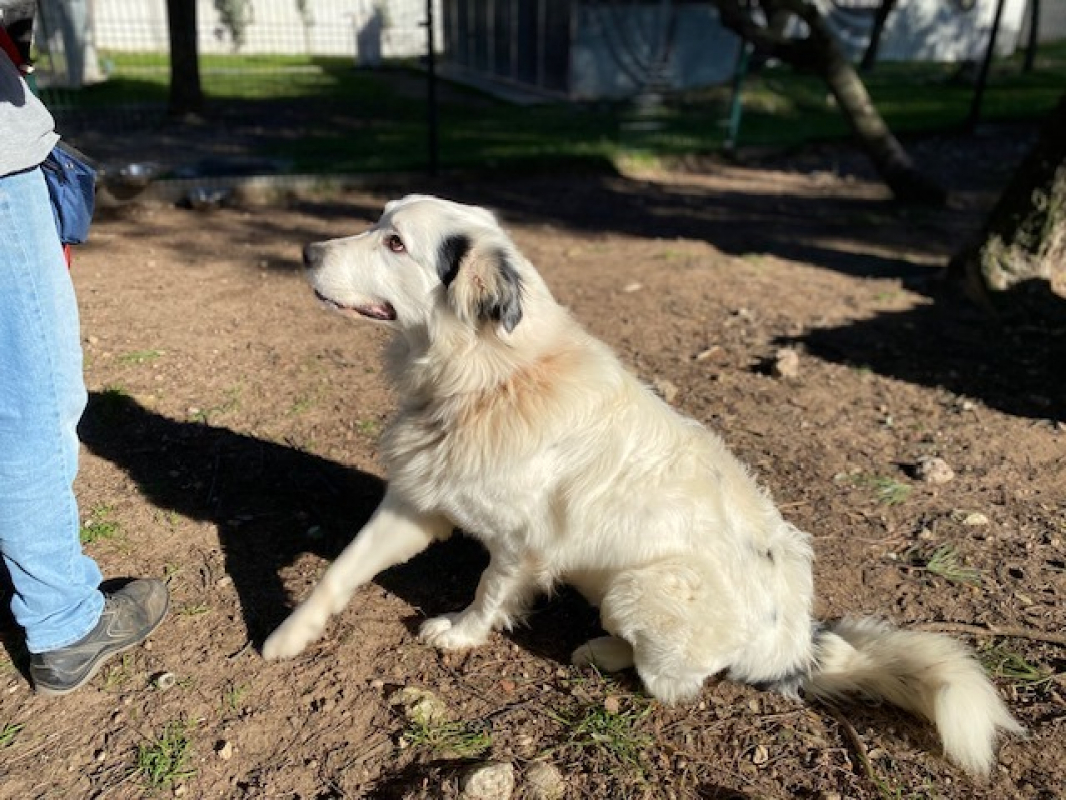 Photo #3 de Tarantino