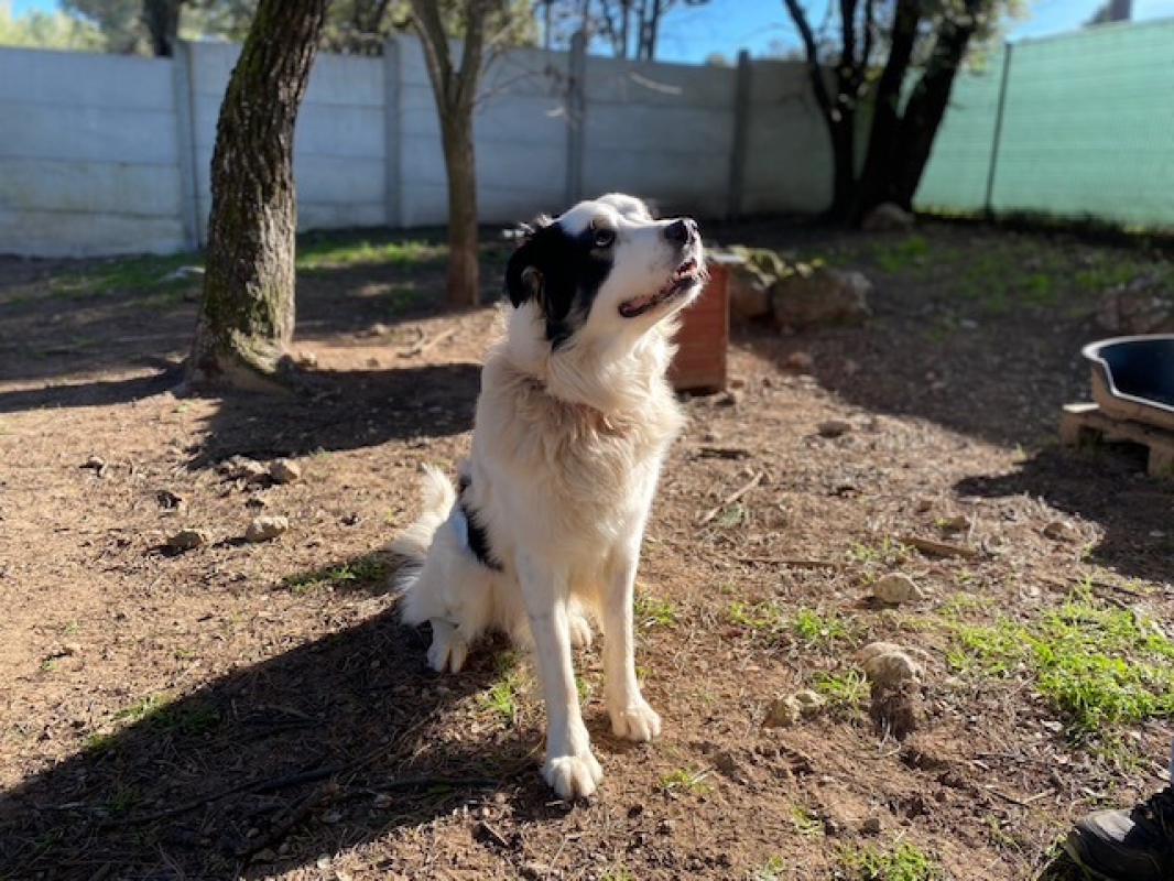 Photo #2 de Tarantino