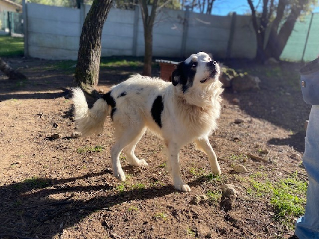 Photo #3 de Tarantino