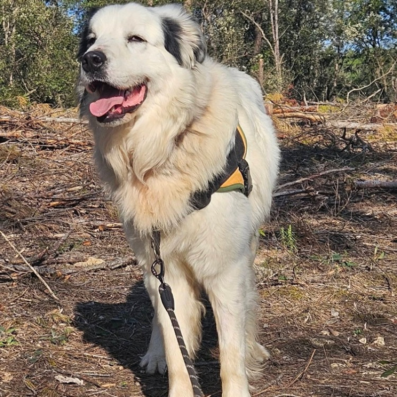 Photo #5 de Tarantino