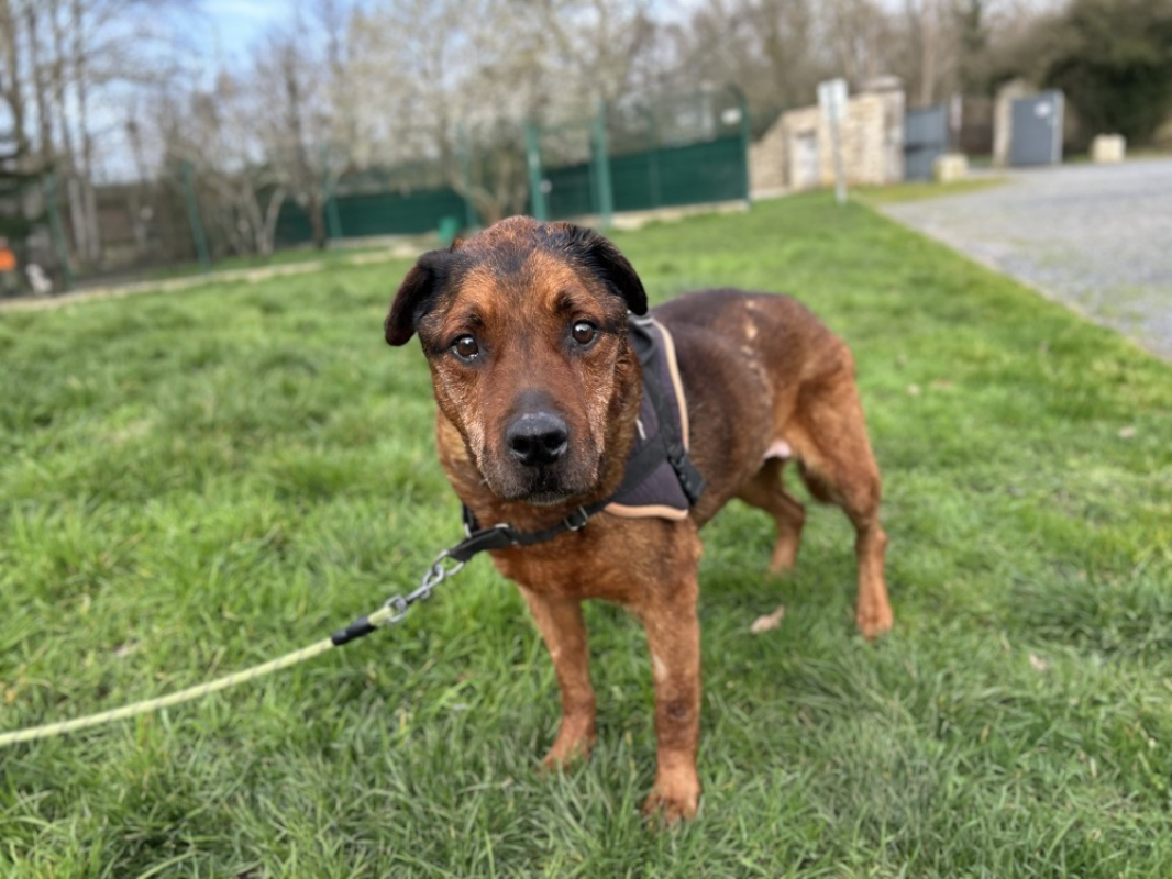 Photo #1 de Barbouille