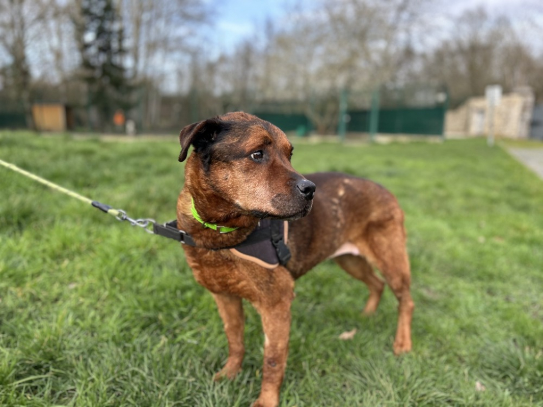 Photo #2 de Barbouille