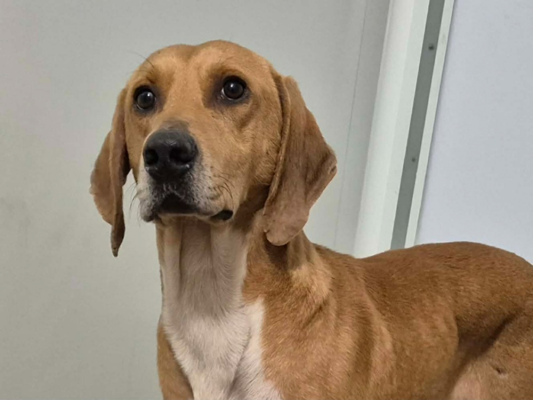 Photo de Lamborghini