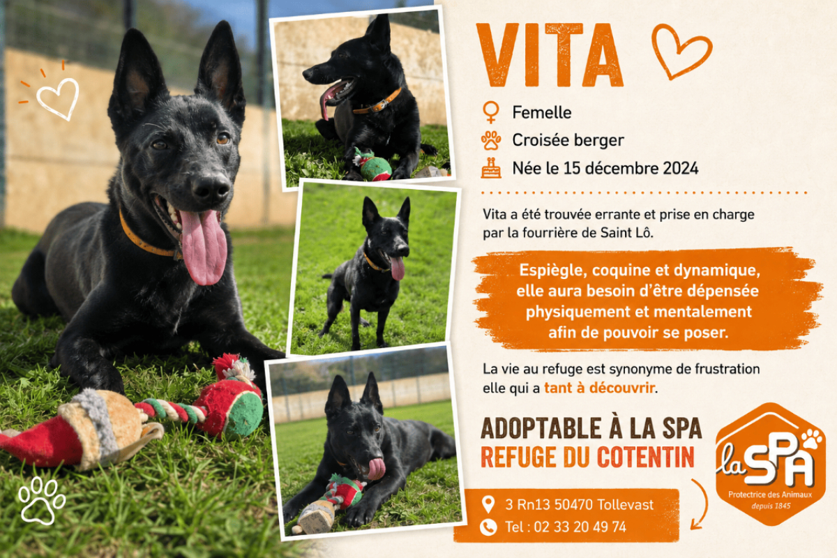 Photo de Vita