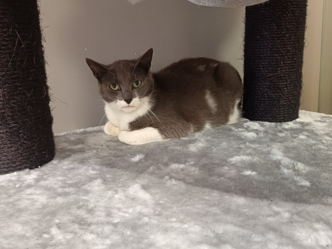 Photo #1 de Novembre