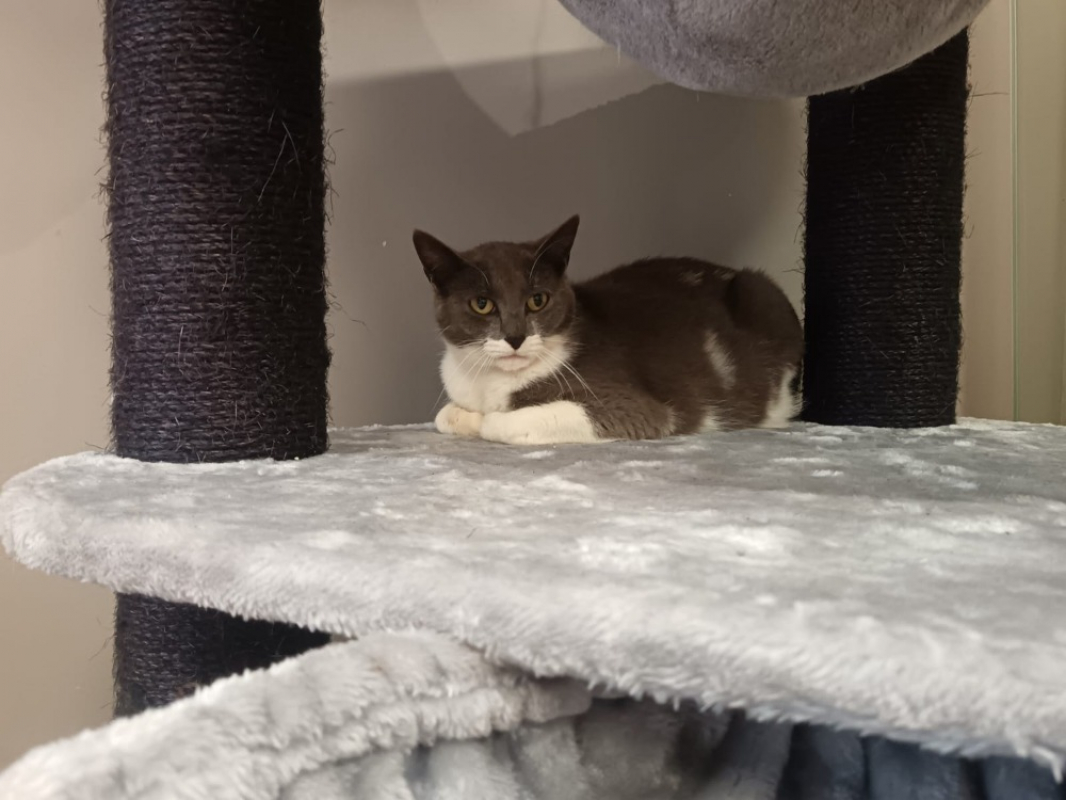 Photo #2 de Novembre