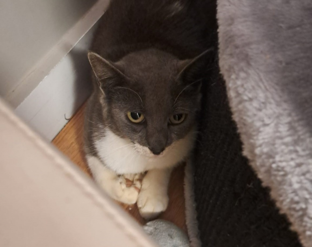 Photo #3 de Novembre