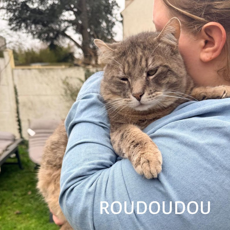 Photo #1 de ROUDOUDOU