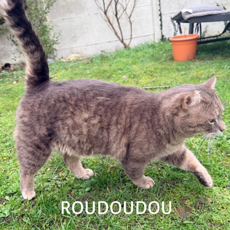 Photo #3 de ROUDOUDOU
