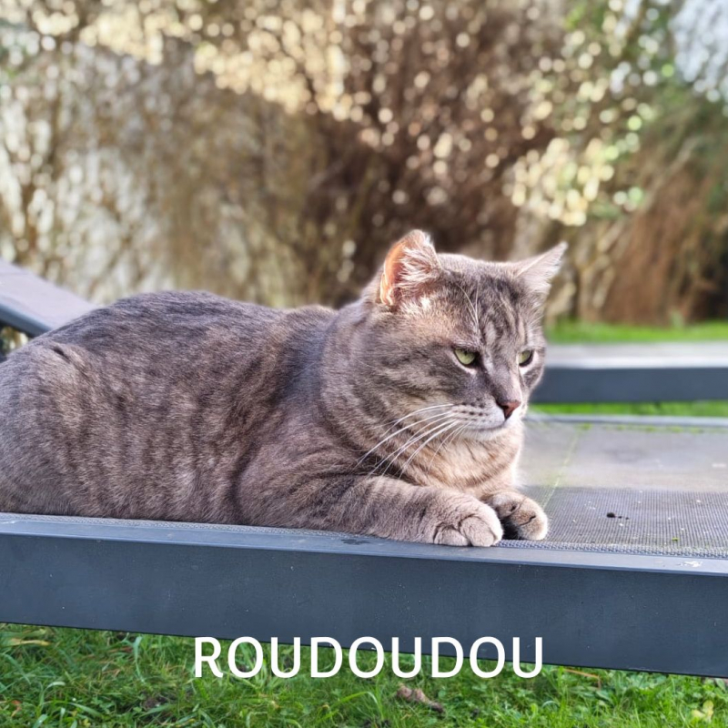Photo #4 de ROUDOUDOU
