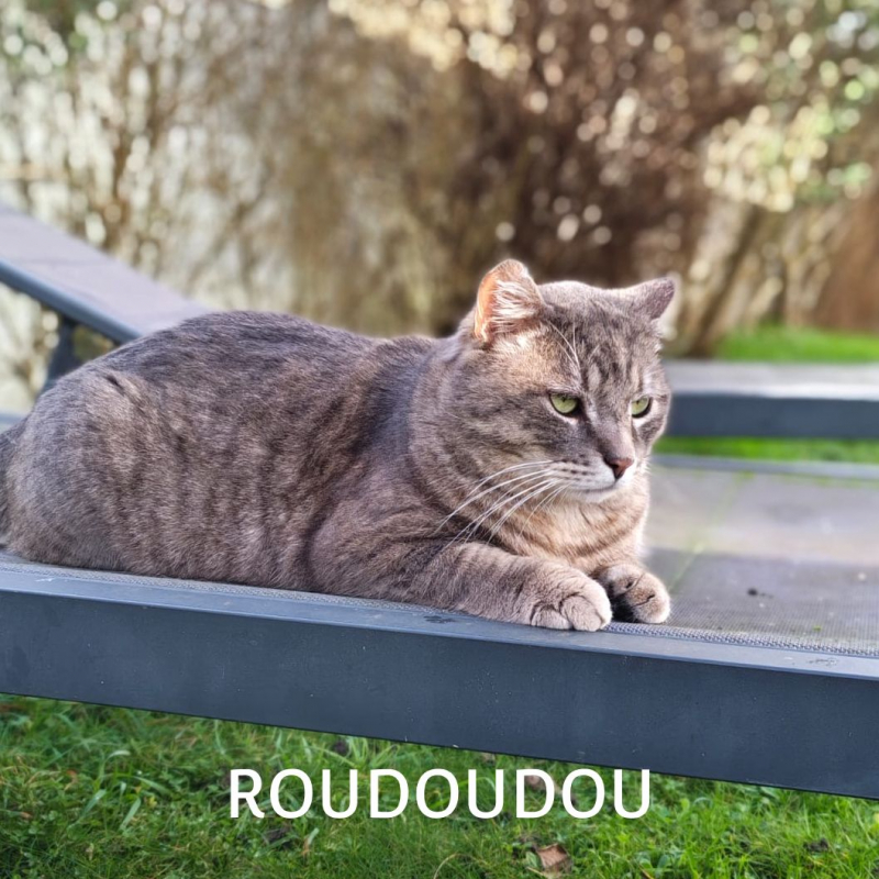 Photo #6 de ROUDOUDOU