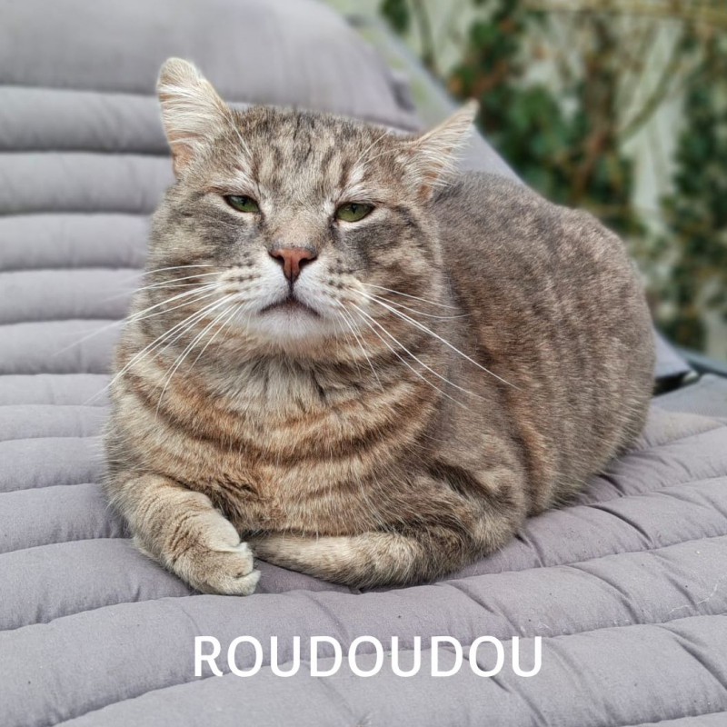 Photo #8 de ROUDOUDOU