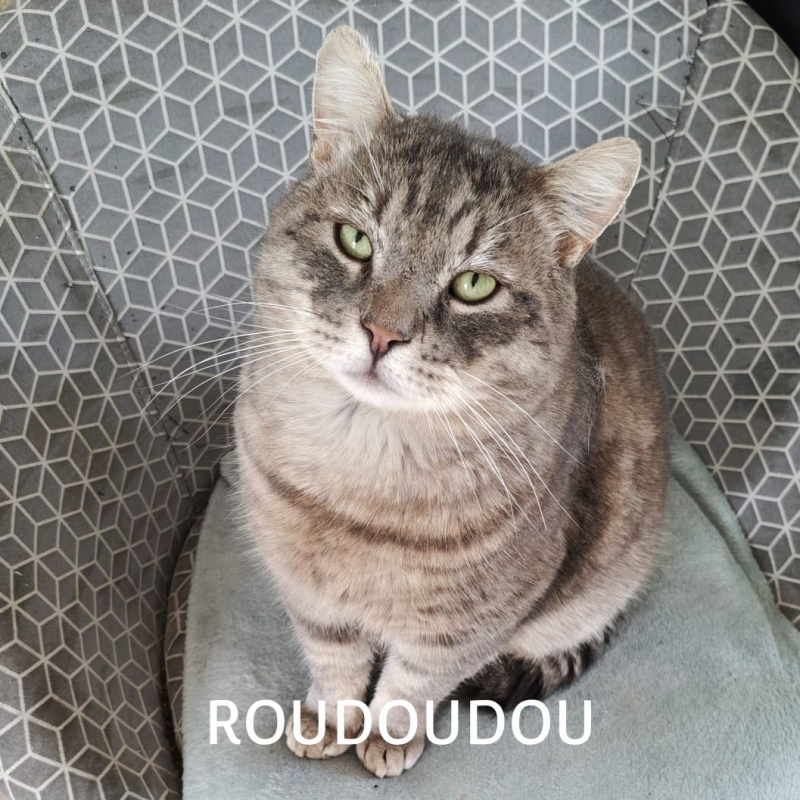 Photo #9 de ROUDOUDOU